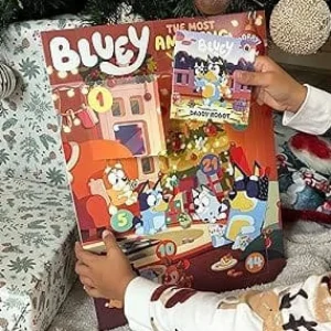 Bluey The Most Amazing Advent Book Bundle Discount