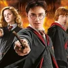 Games and Puzzles Harry Potter Jigsaw Puzzle - 1000 Pieces Discount