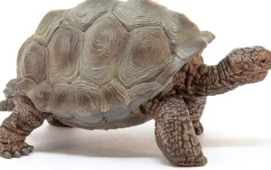 Schleich 14824 Giant Tortoise Outlet