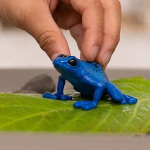 Schleich Blue Poison Dart Frog Best