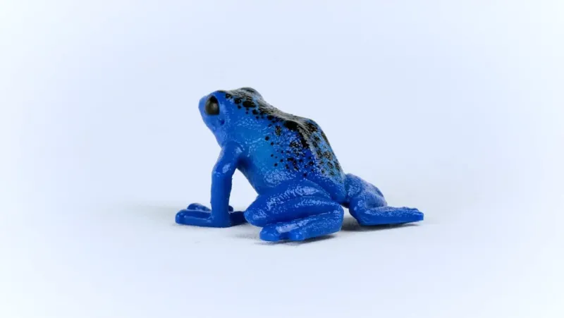 schleich_blue_poison_dart_1.webp Schleich Blue Poison Dart Frog Best