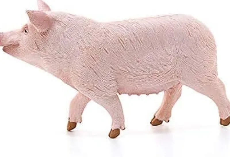 schleich_farm_world_pig_1.webp Schleich Farm World Pig Clearance