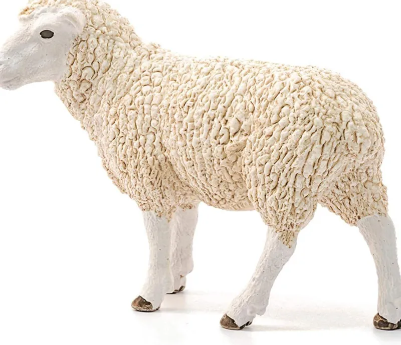 schleich_farm_world_sheep_1.webp Schleich Farm World Sheep Best
