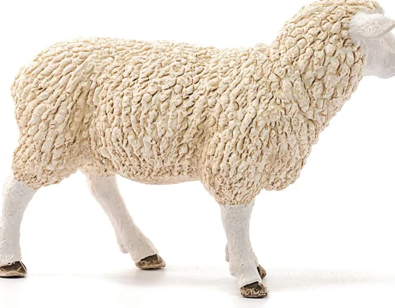 schleich_farm_world_sheep_2.webp Schleich Farm World Sheep Best