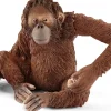 Schleich Orangutan Female Discount