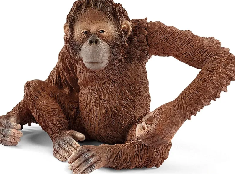 schleich_orangutan_female_0.webp Schleich Orangutan Female Discount
