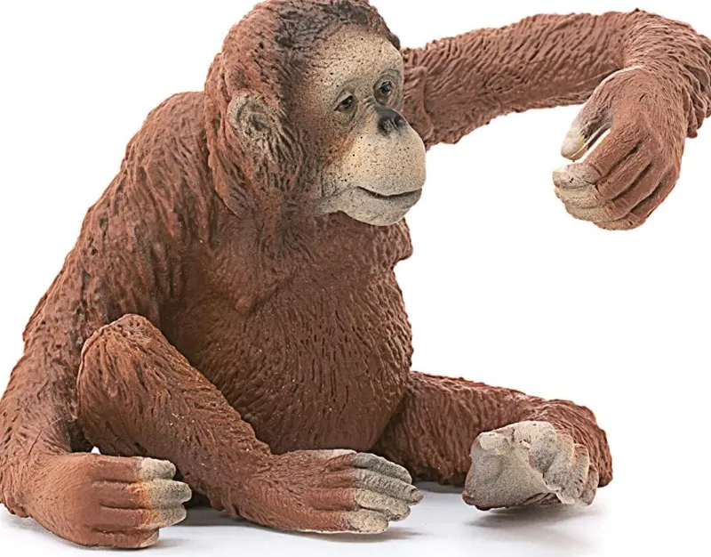 schleich_orangutan_female_1.webp Schleich Orangutan Female Discount