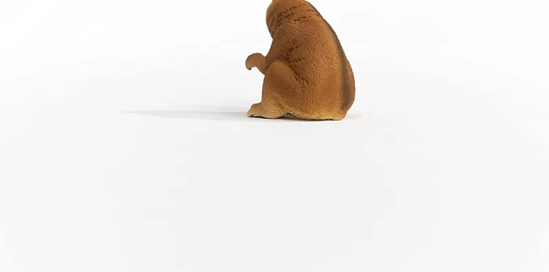 schleich_slow_loris___cm_0.webp Schleich Slow Loris 3 5 cm Hot