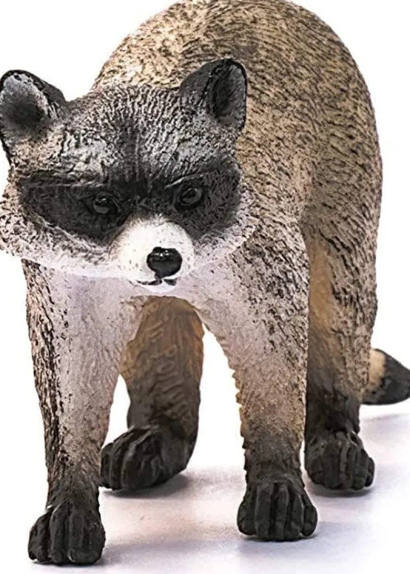 schleich_wild_life_raccoo_0.webp Schleich Wild Life Raccoon 8 cm Outlet