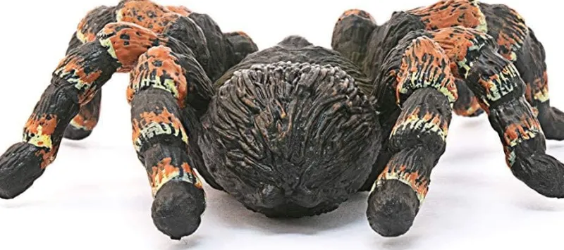 schleich_wild_life_tarant_0.webp Schleich Wild Life Tarantula Fashion