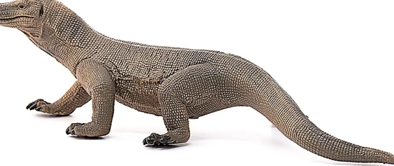 schleich_wildlife_komodo__1.webp Schleich Wildlife Komodo Dragon Hot
